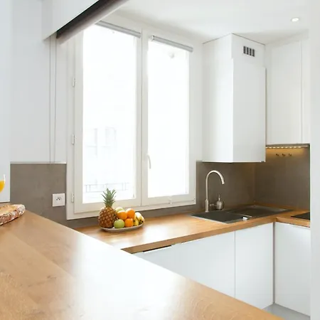 Apartment Rue Saint Honore - Louvre Paris